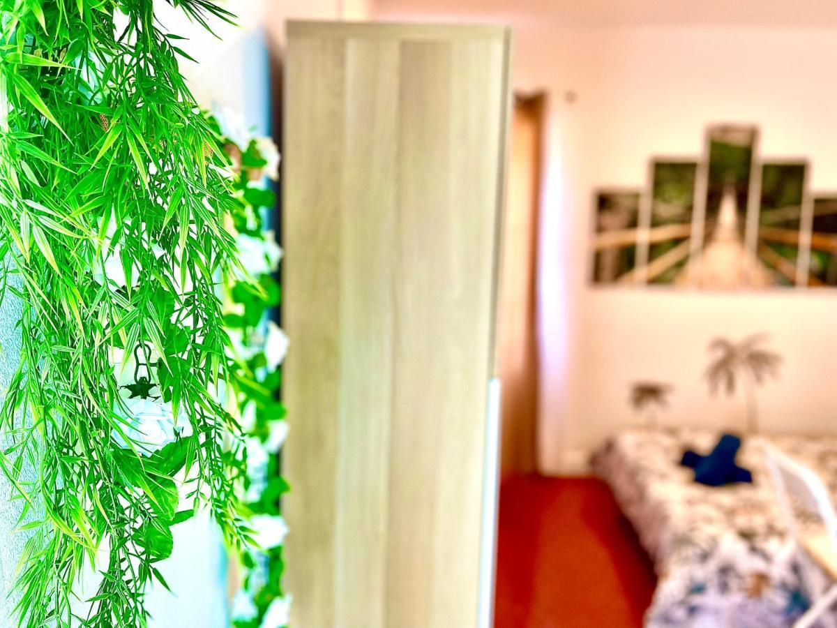 Apartment *l'indiana*hyper Centre*fibre Wifi* *